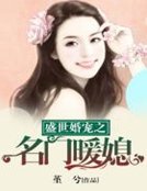 盛世婚宠之名门暖媳