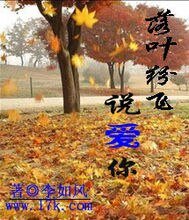 落葉紛飛說愛你